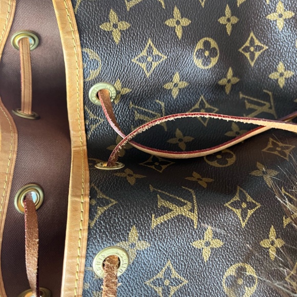 LV Noe GM purse - Picture 11 of 12